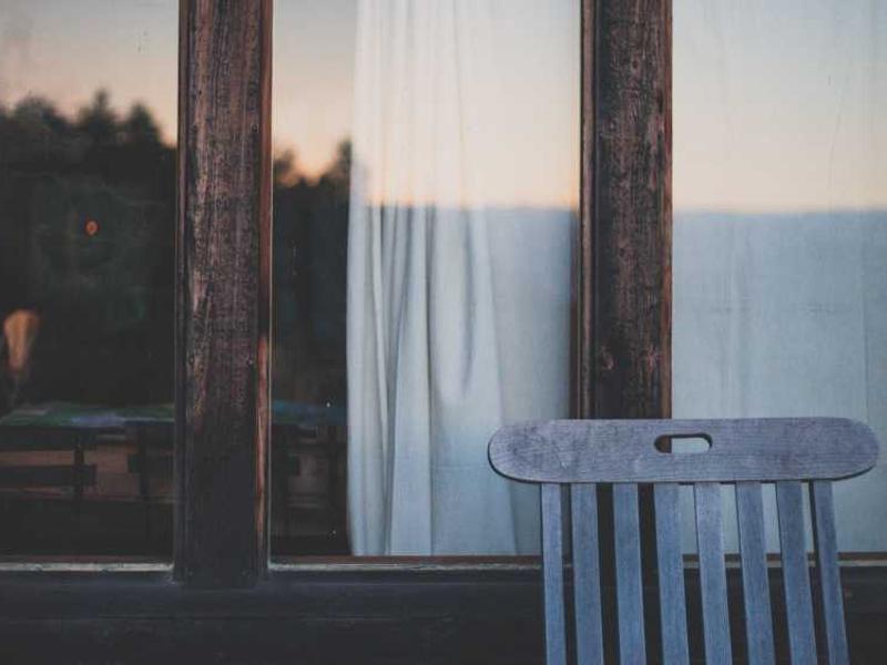 宠物侦探<br>rhipqgo.cn 寻找走失猫咪